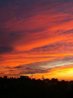 Other Wallpapers 0777